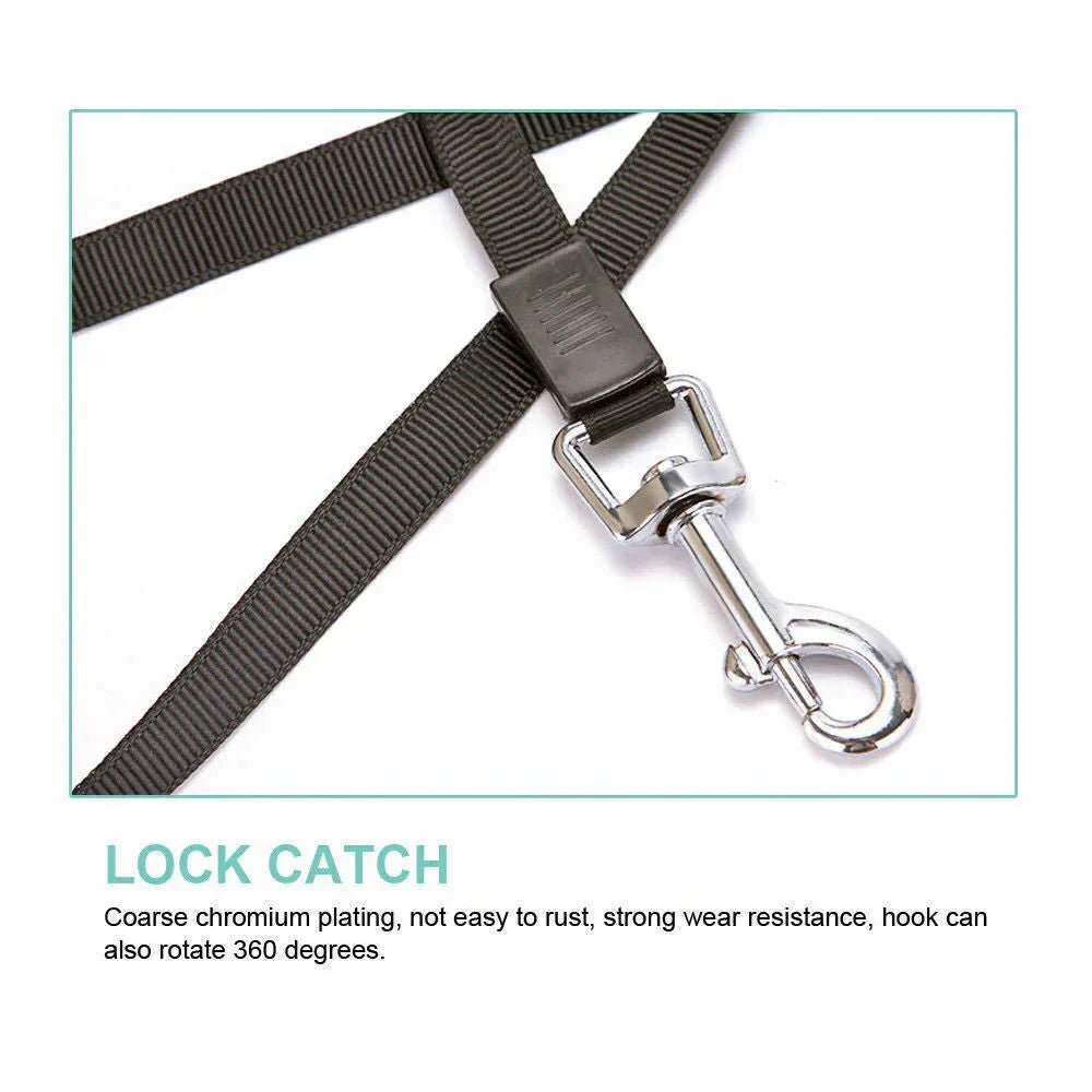 Automatic Retractable Dog Leash - Dual Size Options with Brake & Lock Safety System - PawVibe