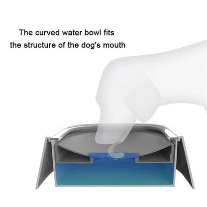Dog Drinking Water Bowl with Floating Design - Non - Wetting, Non - Skid, Large Capacity - PawVibe